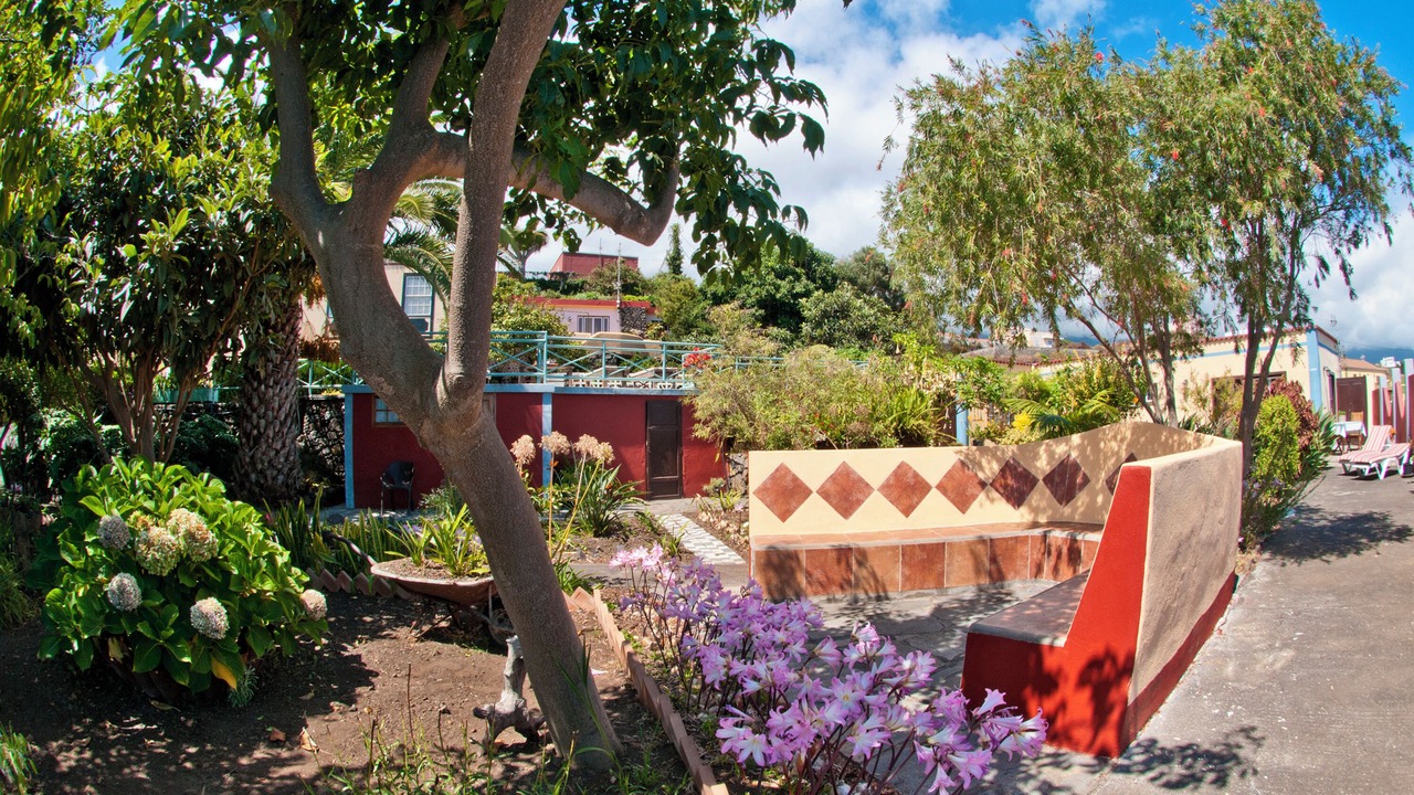 Photo of Outdoor in Brena Baja