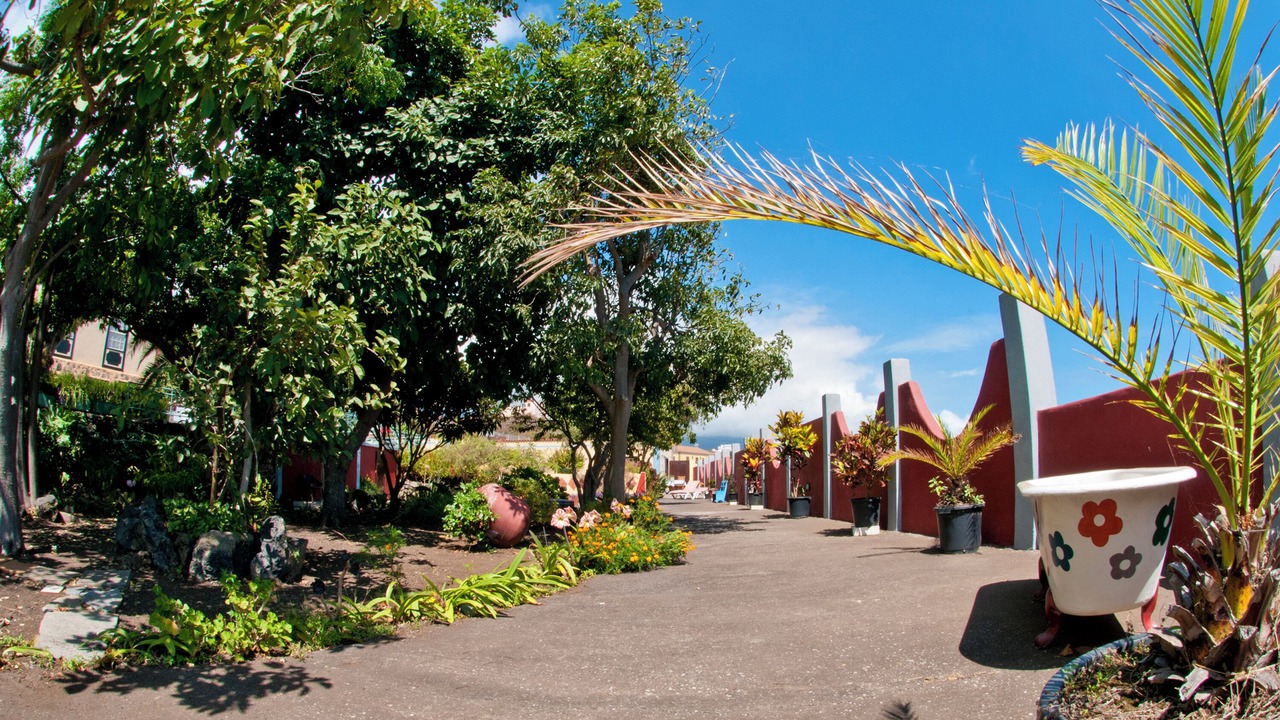 Photo of Outdoor in Brena Baja