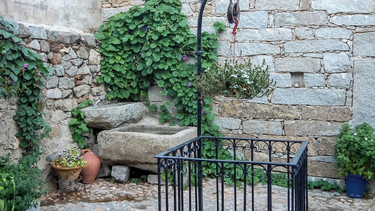 Photo of Outdoor in Anora
