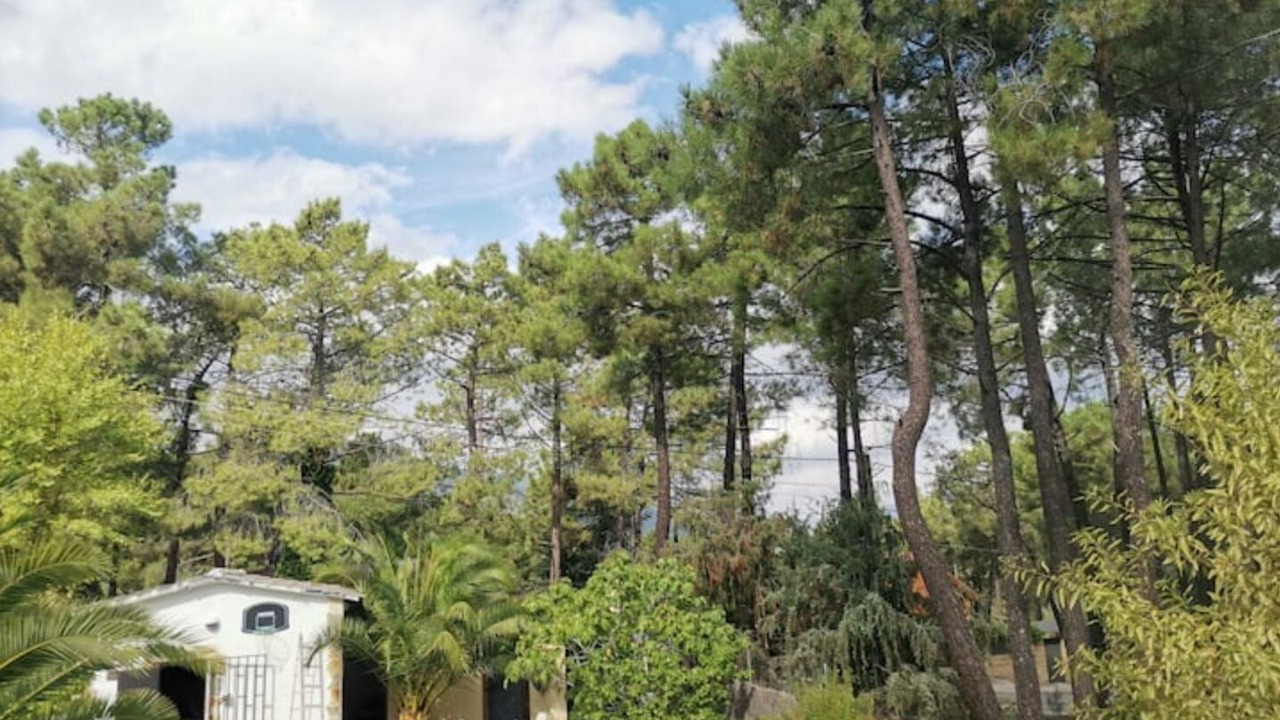 Photo of Outdoor in El Tiemblo