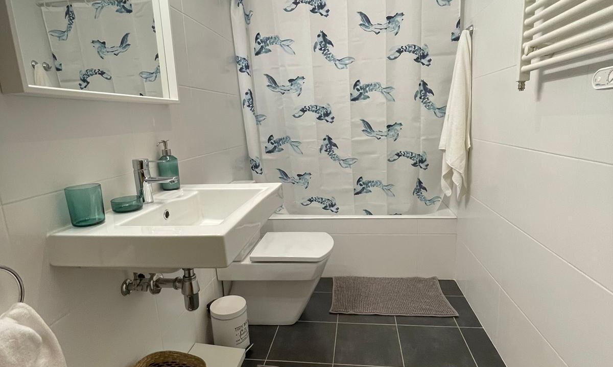Photo of Bathroom in Sestao