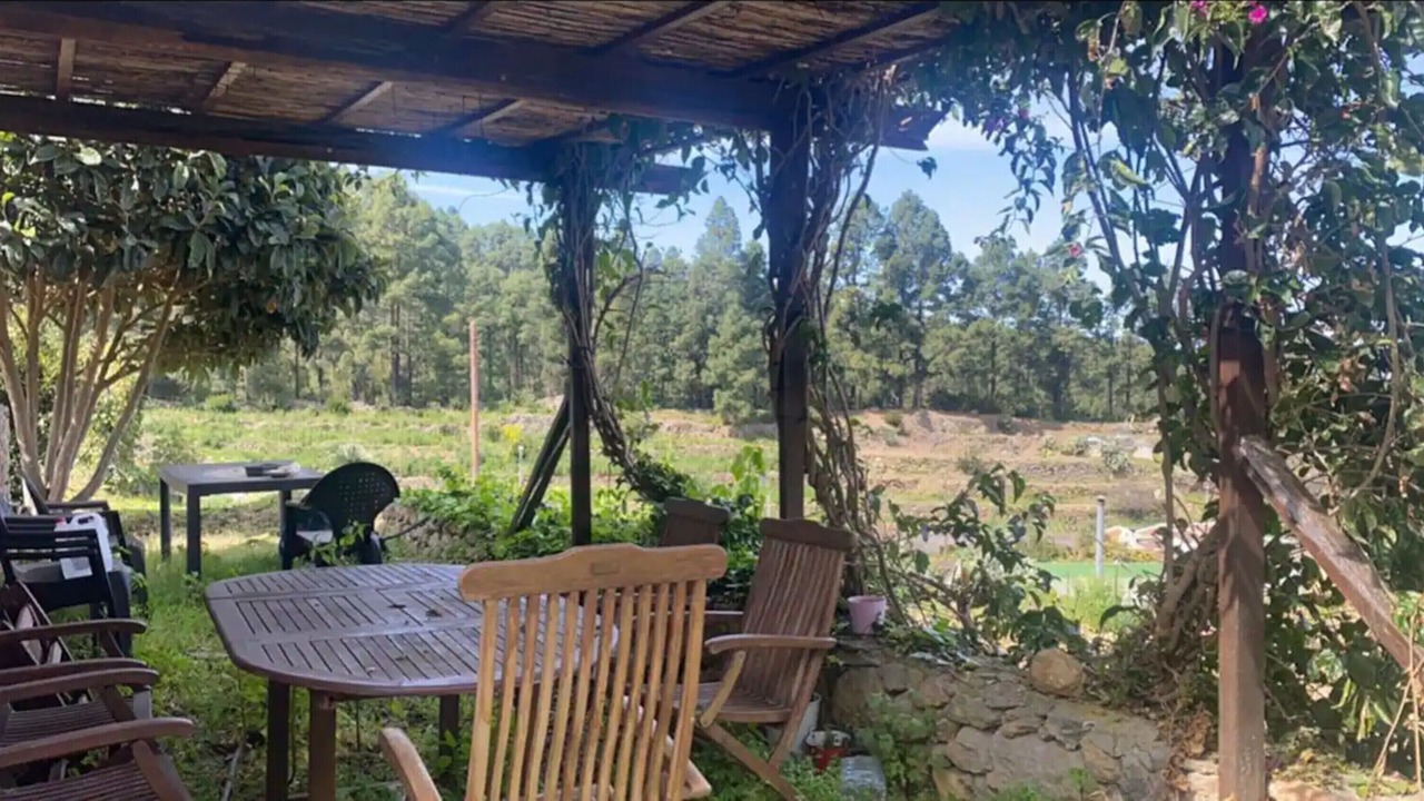Photo of Outdoor in Icod de los Vinos