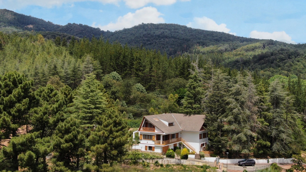 Photo of Outdoor in Arbucies