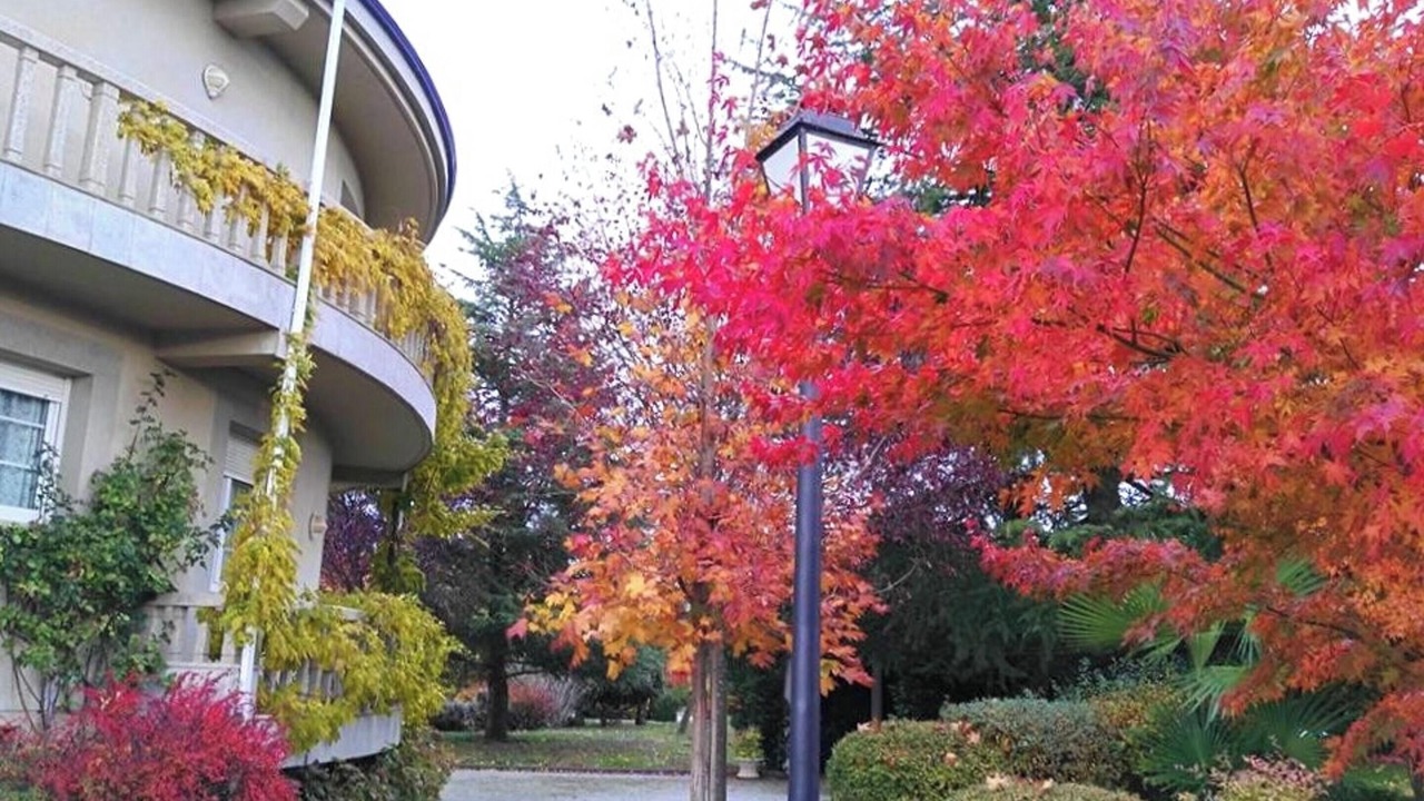 Photo of Outdoor in Almazcara