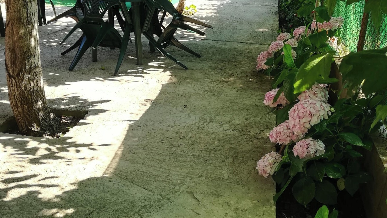 Photo of Outdoor in Rozuelo