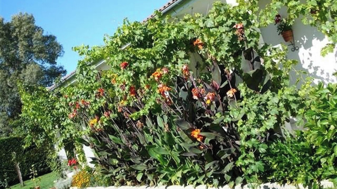 Photo of Outdoor in La Calzada de Bejar