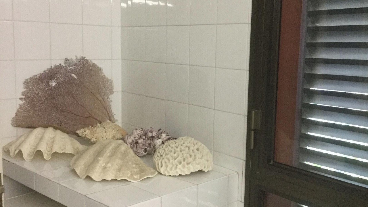Photo of Bathroom in Tamariu