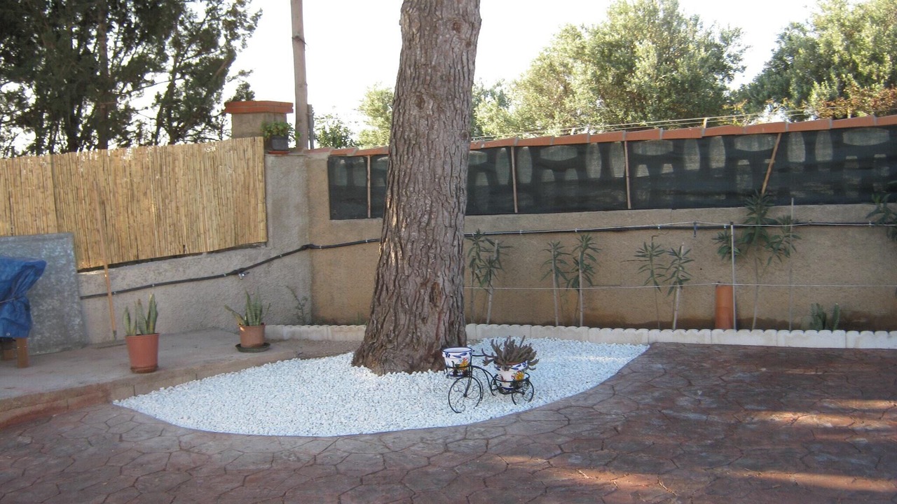 Photo of Outdoor in Lliria