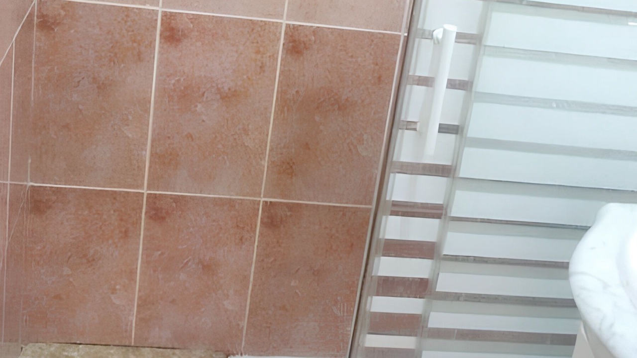 Photo of Others in Ciudad Real
