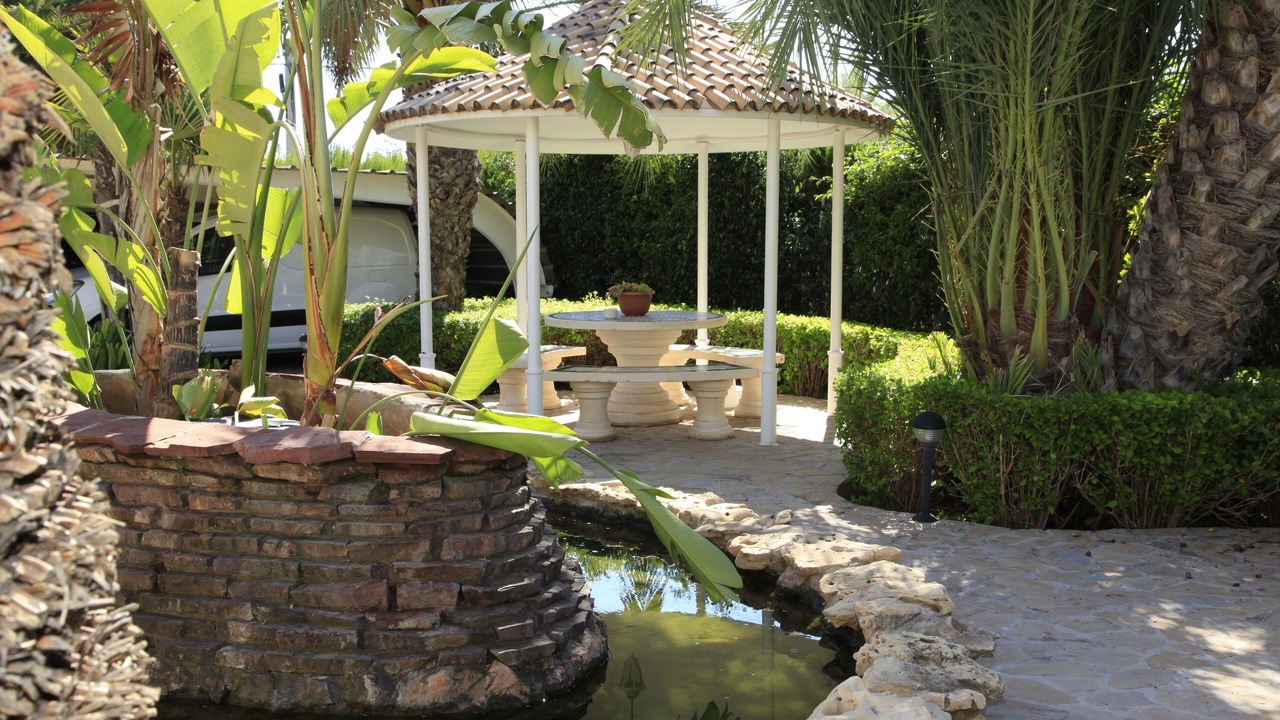 Photo of Outdoor in Elche
