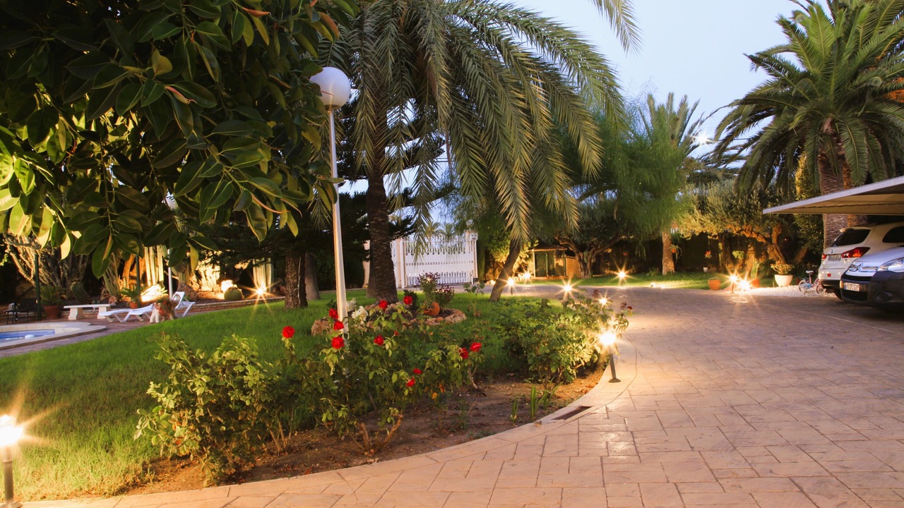 Photo of Outdoor in Elche