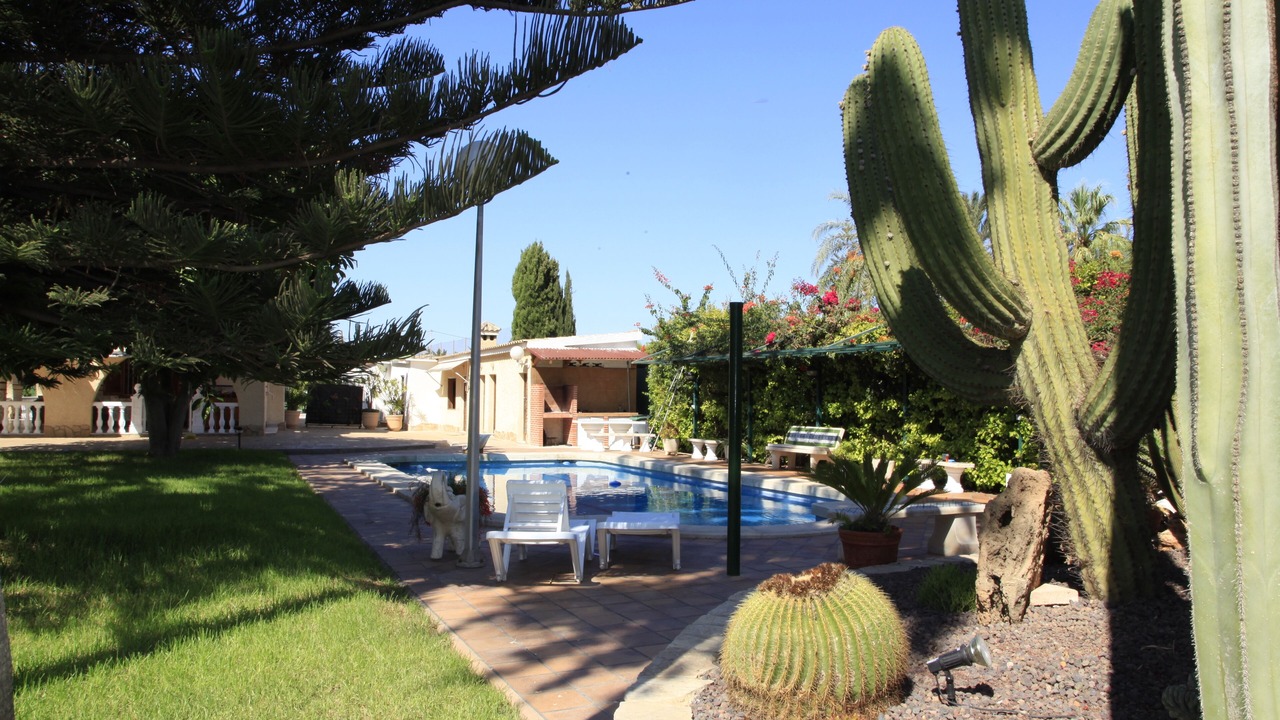 Photo of Outdoor in Elche