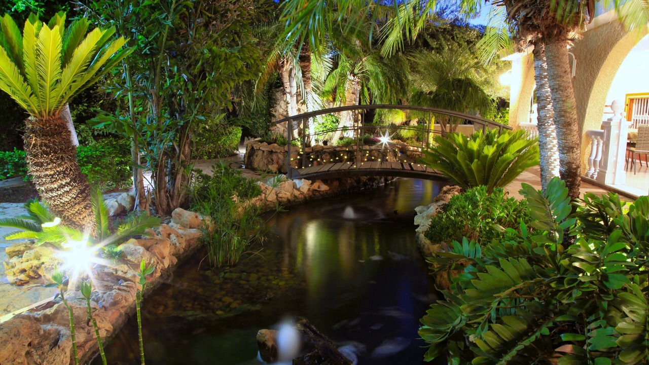 Photo of Outdoor in Elche