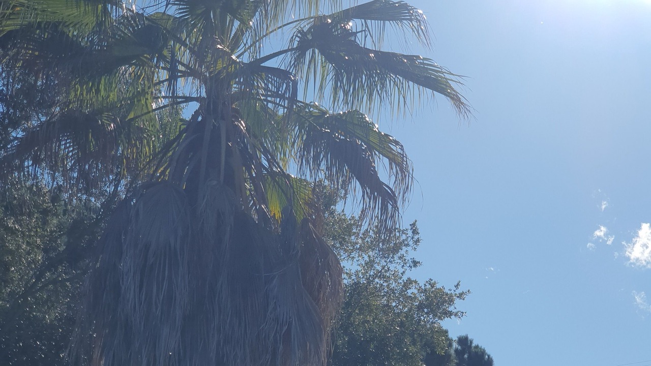 Photo of Outdoor in Dosrius