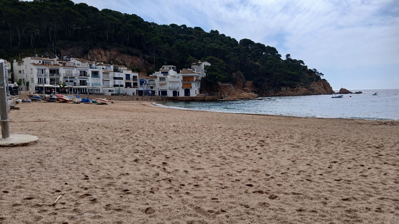 Photo of Others in Tamariu