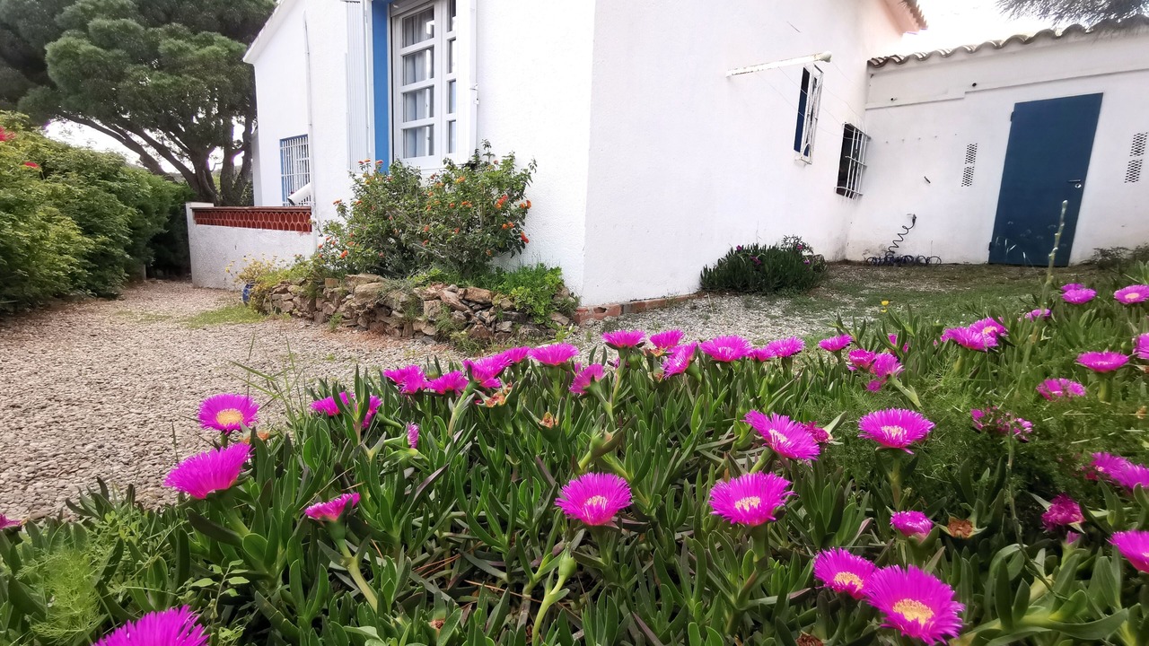 Photo of Outdoor in Colera