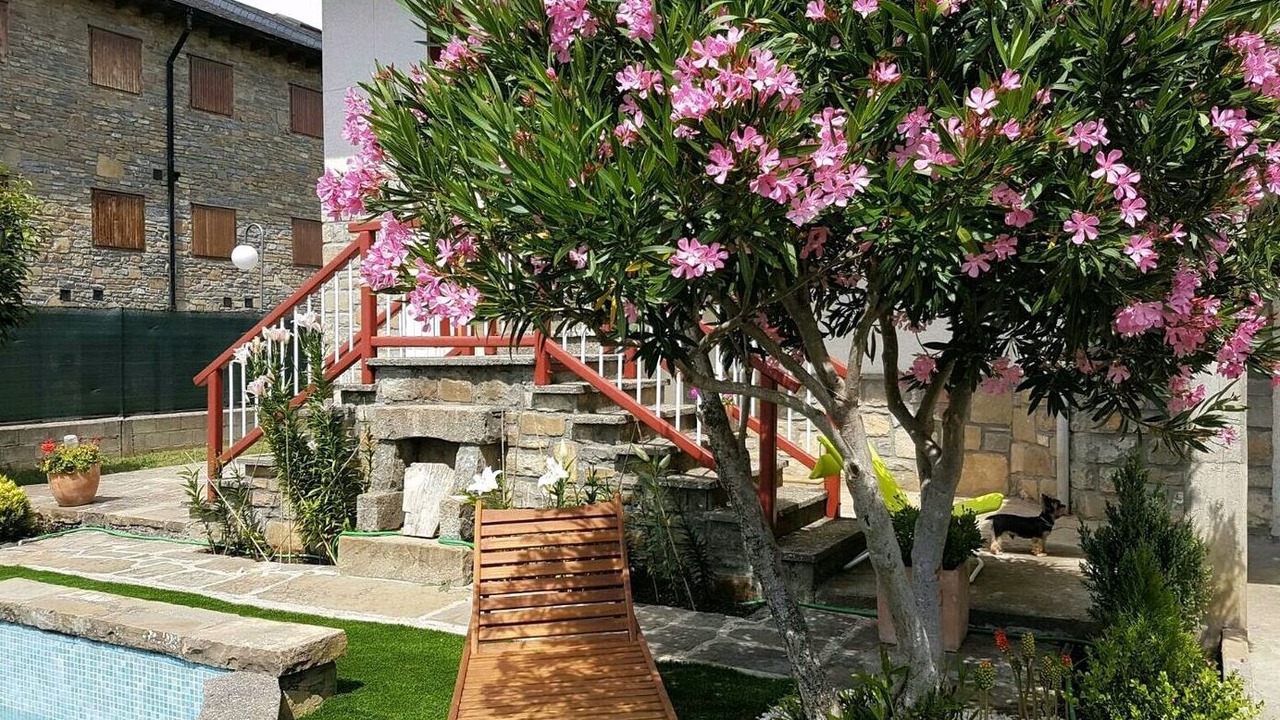 Photo of Outdoor in Banaston