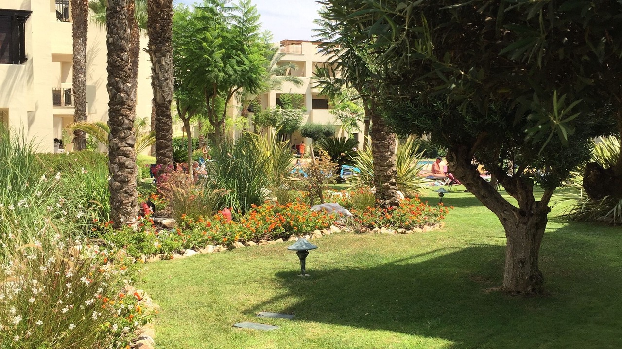 Photo of Others in Roda