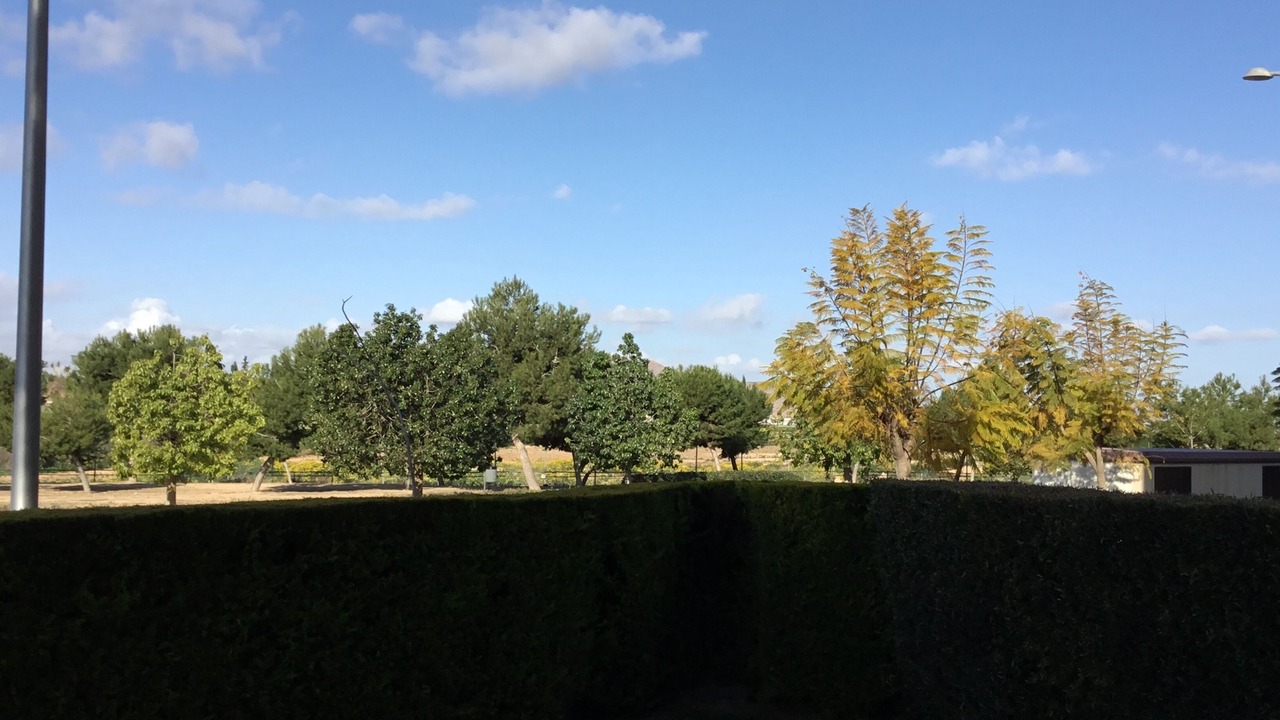 Photo of Outdoor in Roda