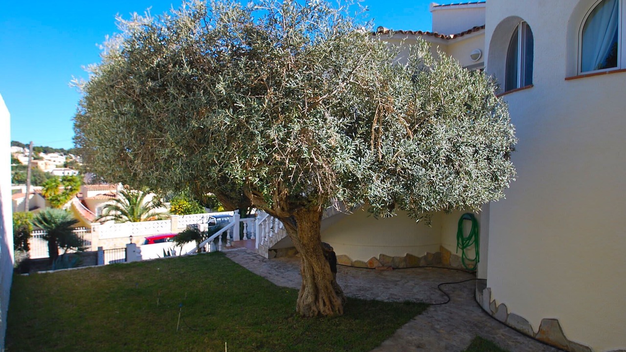 Photo of Outdoor in Benissa Coast