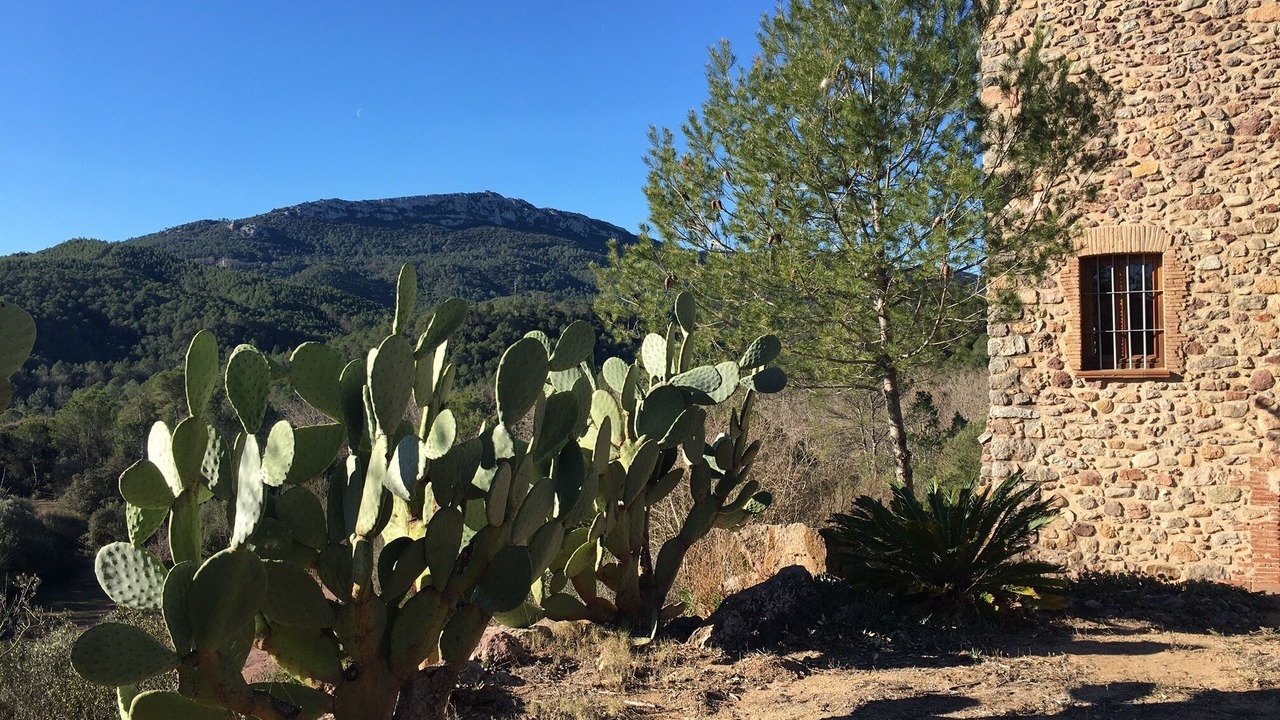 Photo of Outdoor in Boadella i les Escaules