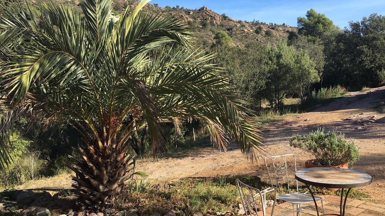 Photo of Outdoor in Boadella i les Escaules