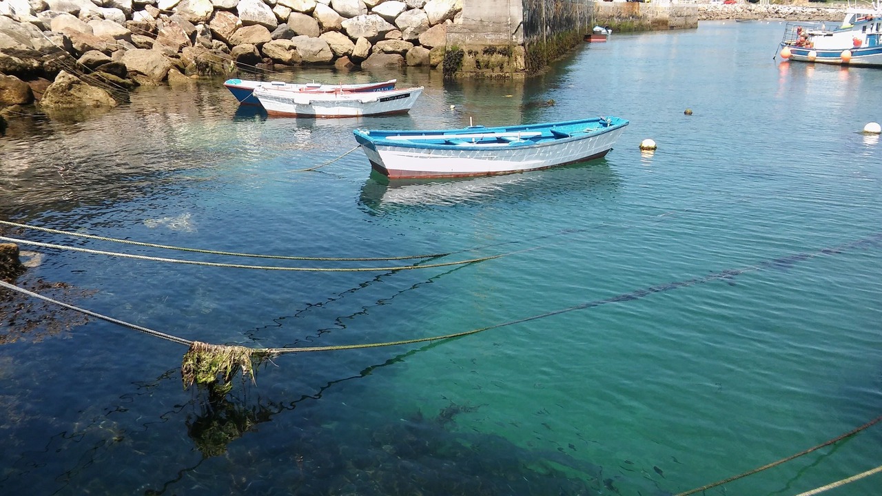 Photo of Others in Porto de Espasante