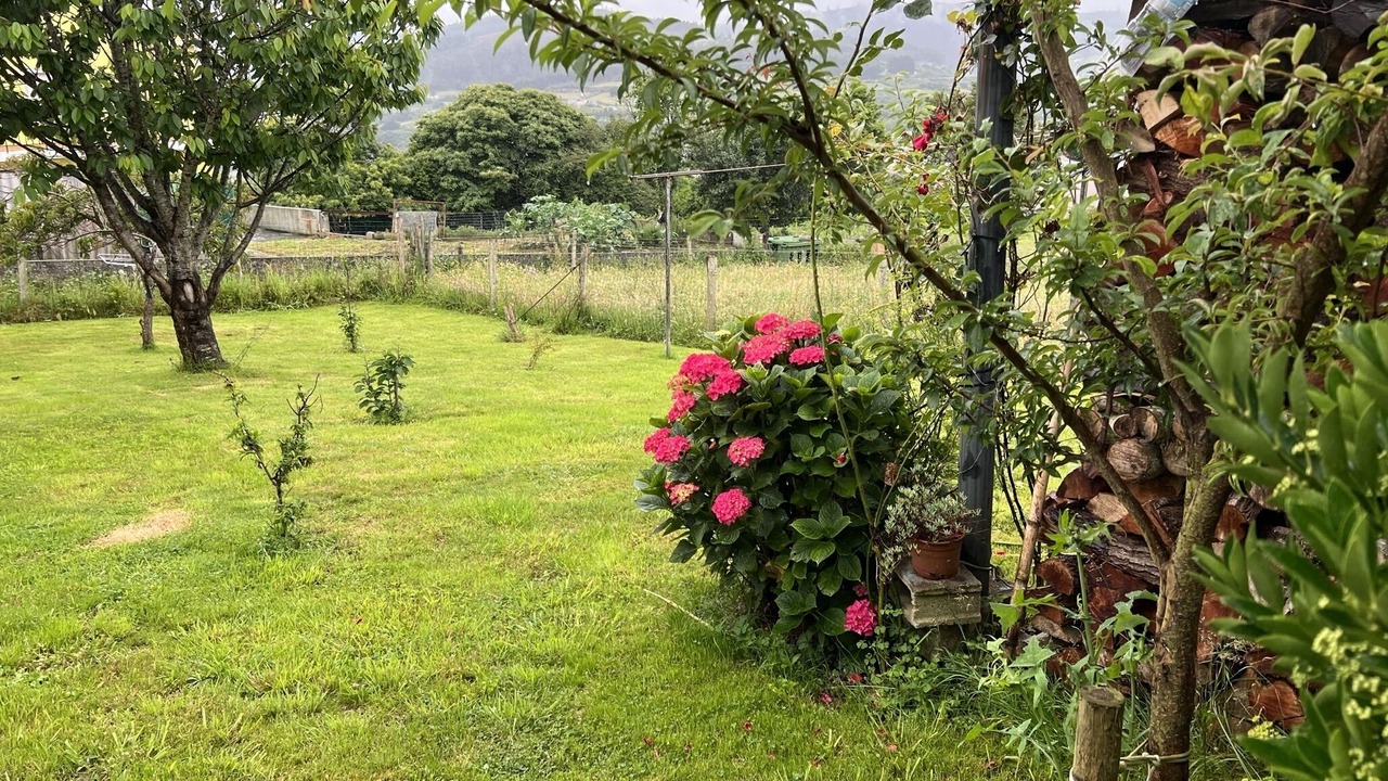 Photo of Outdoor in Porto de Espasante
