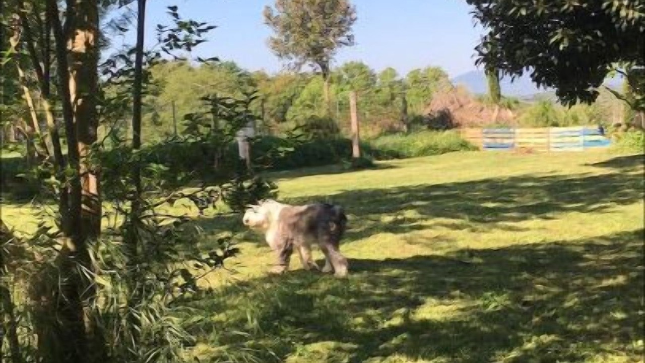 Photo of Outdoor in Fornells de la Selva