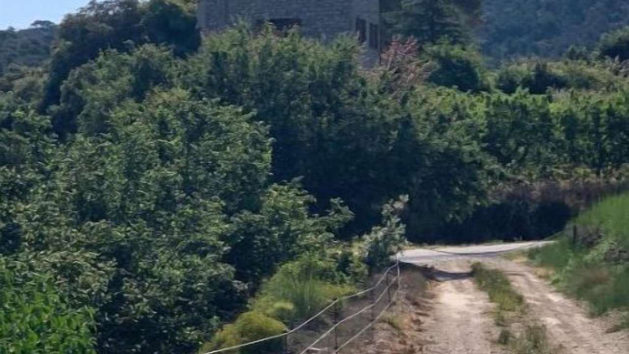 Photo of Outdoor in Mont-Ral