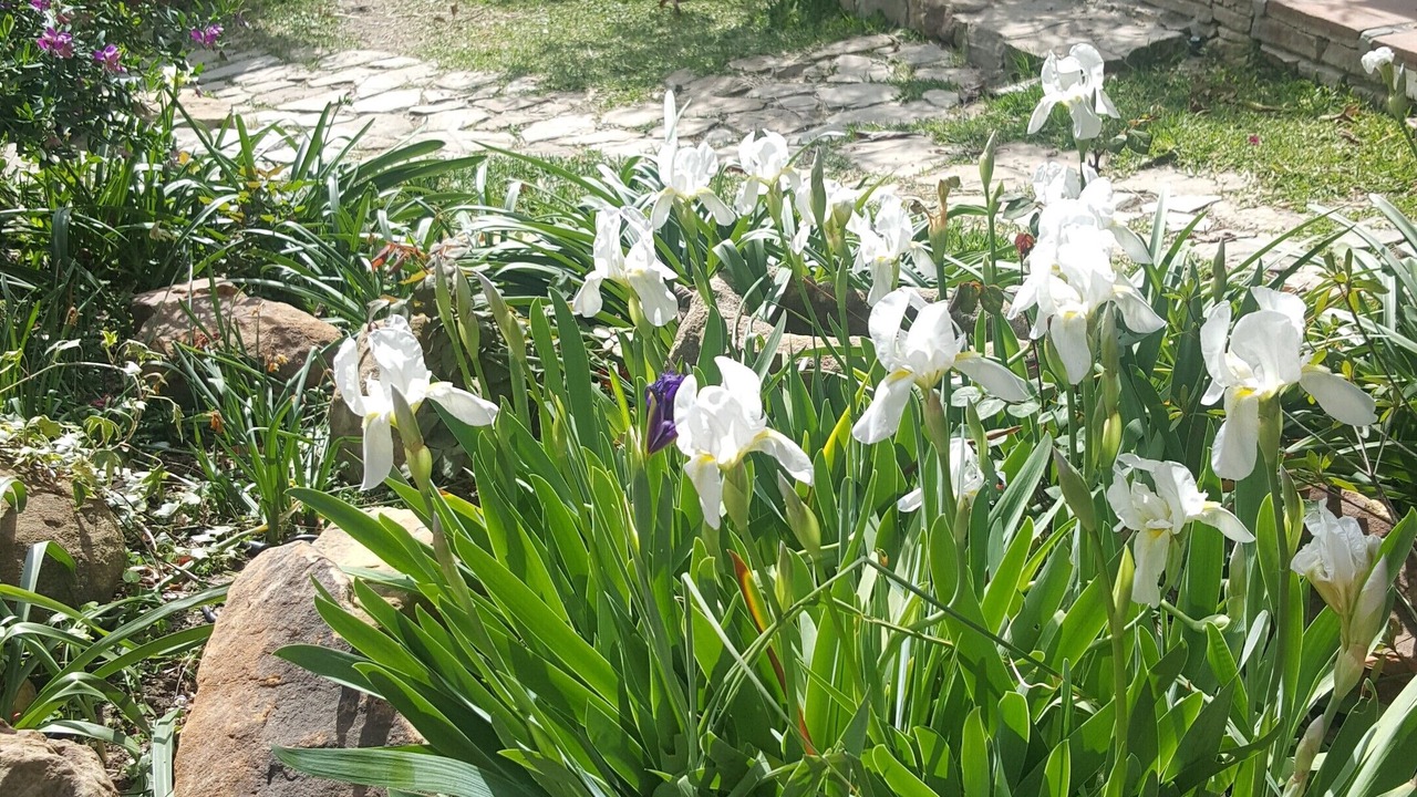 Photo of Outdoor in Gaucin