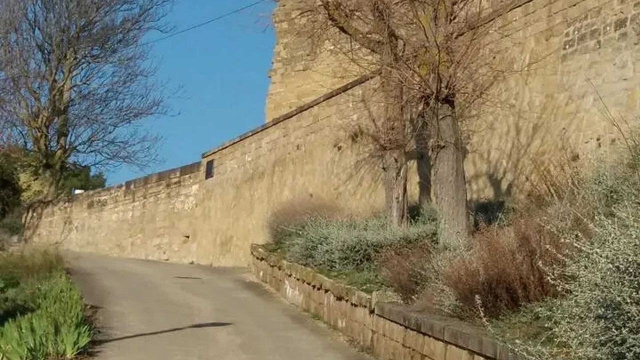 Photo of Outdoor in Briones