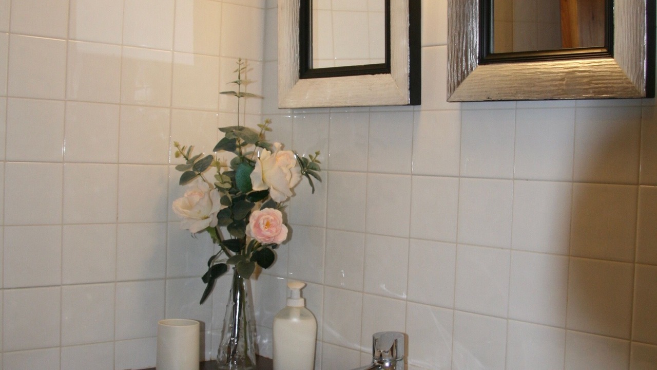 Photo of Bathroom in Panes