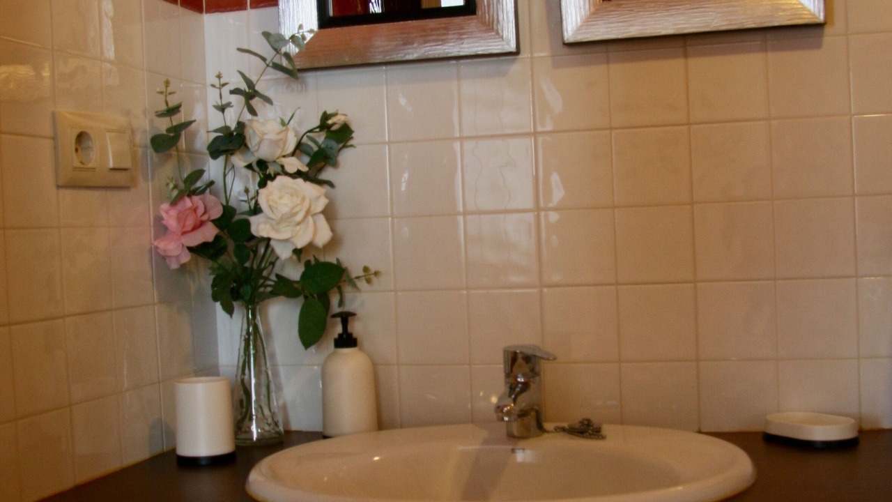 Photo of Bathroom in Panes