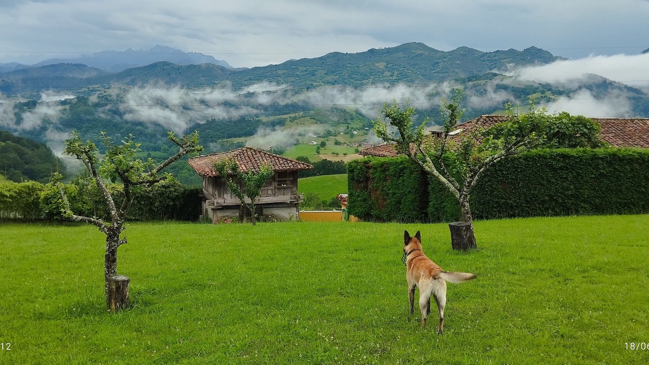 Photo of Outdoor in Soto de las Duenas