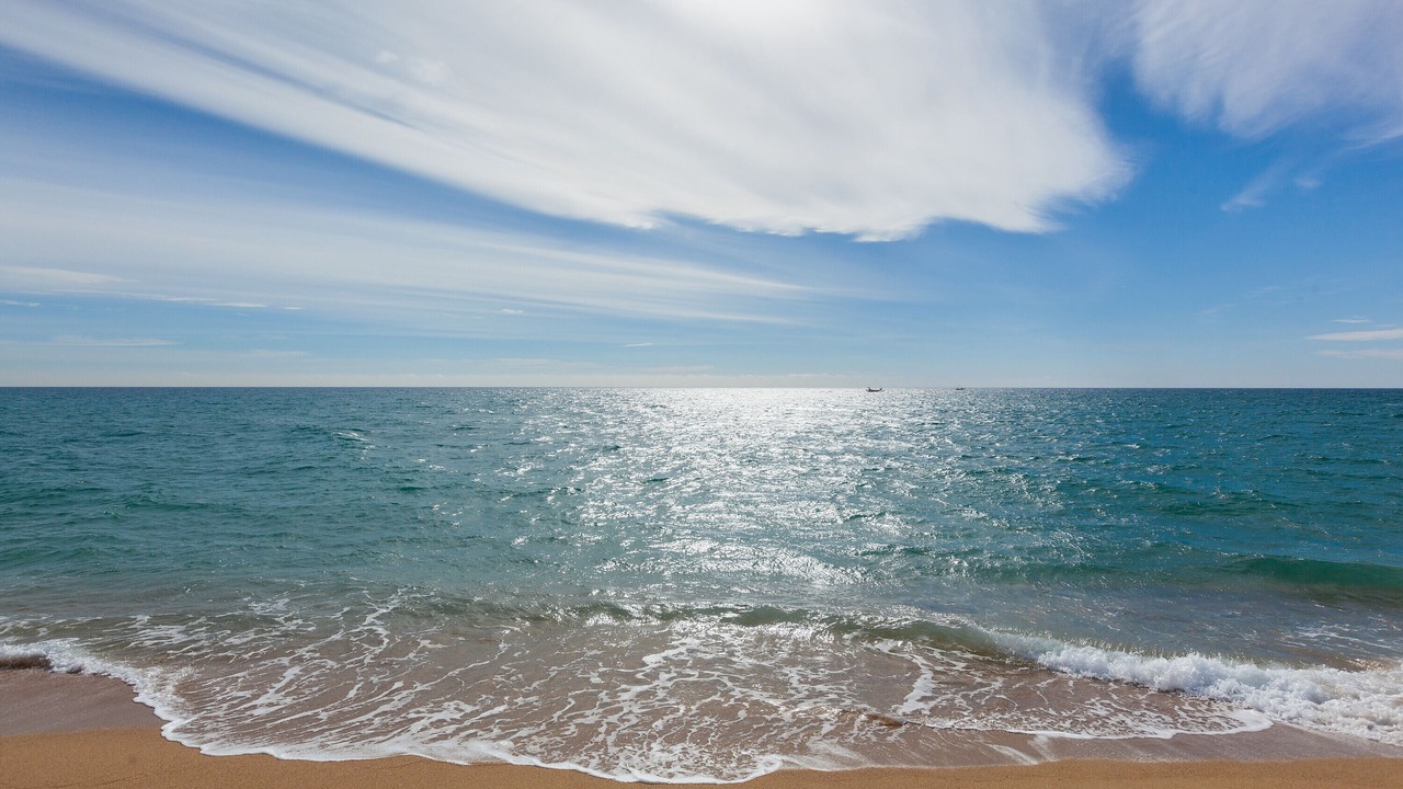 Photo of Others in Canet de Mar