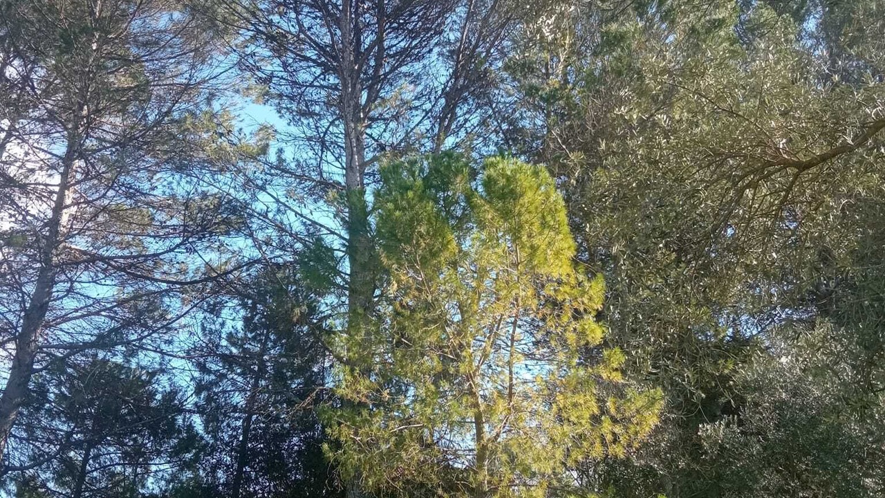 Photo of Outdoor in Baeza