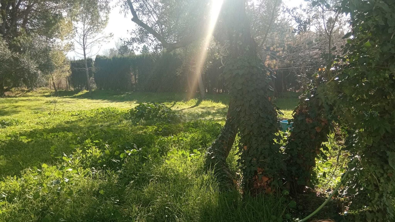 Photo of Outdoor in Baeza