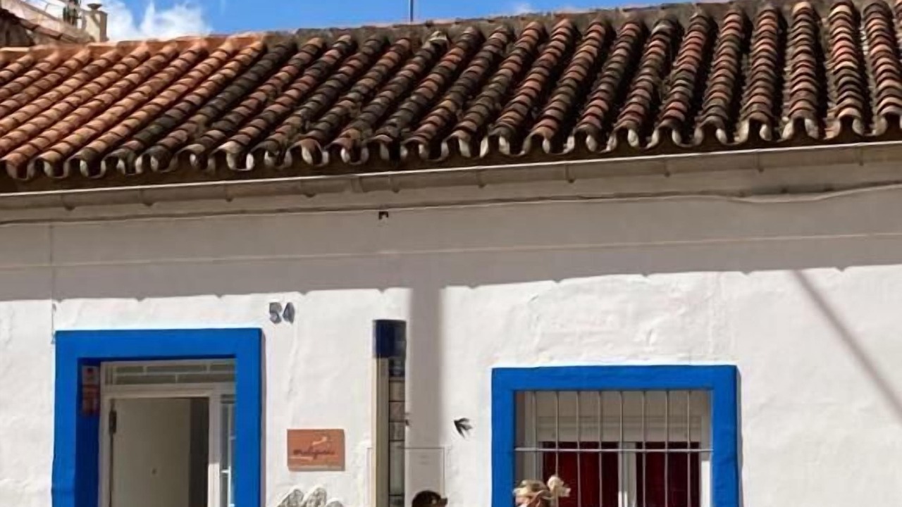 Photo of Outdoor in Los Tilos