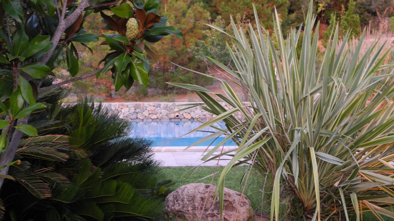Photo of Outdoor in Valldemossa