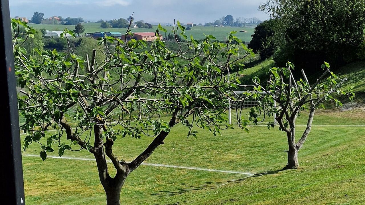 Photo of Outdoor in Santillana del Mar