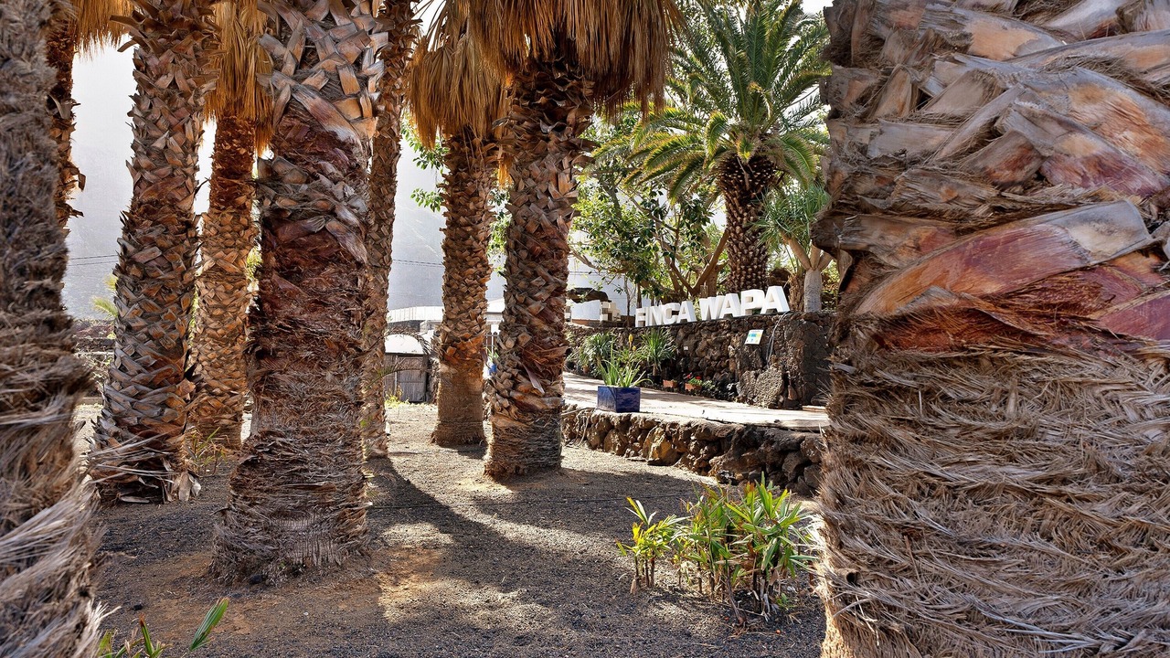 Photo of Outdoor in Las Puntas