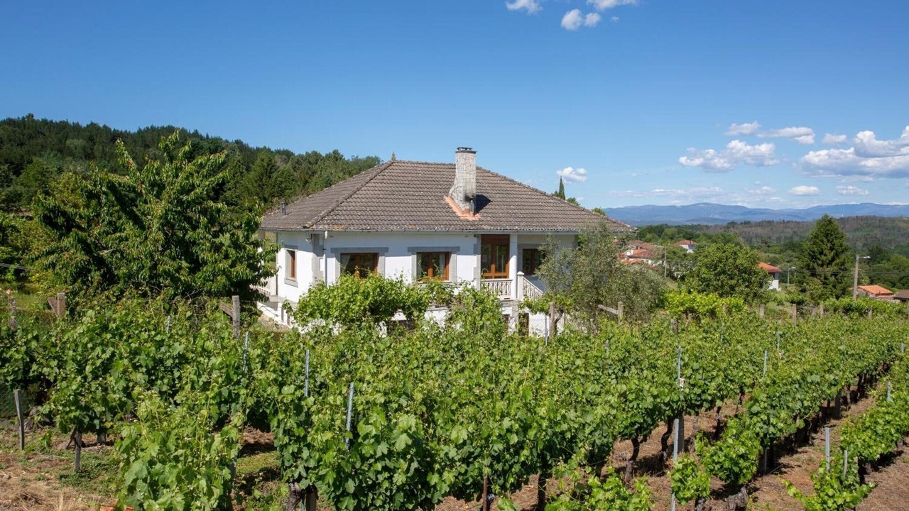 Photo of Outdoor in Panton