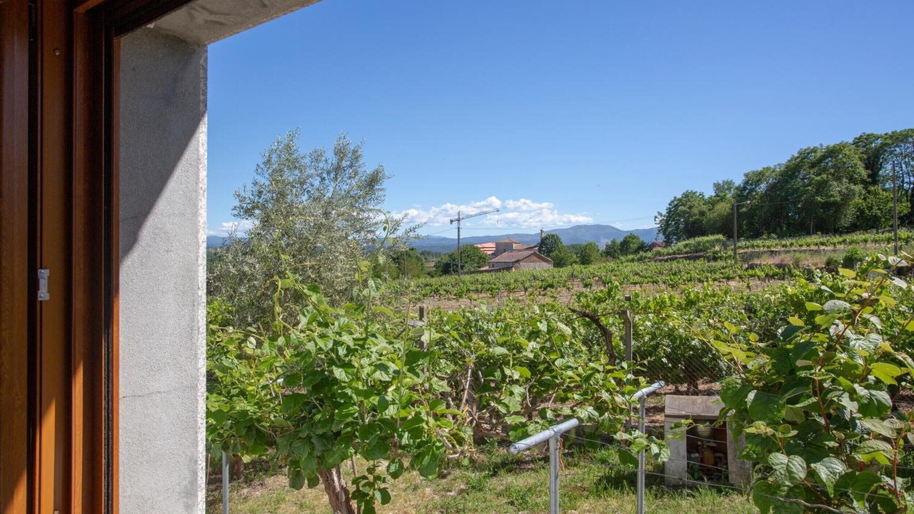 Photo of Outdoor in Panton