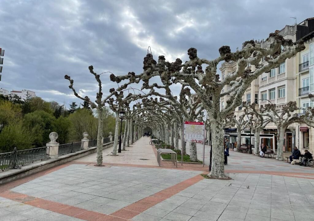 Photo of Others in Burgos