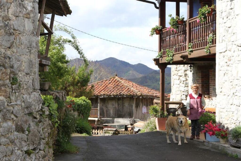 Photo of Outdoor in Peruyes
