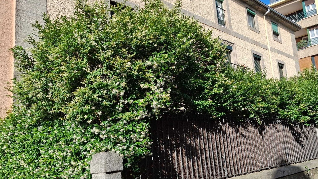 Photo of Outdoor in San Lorenzo de El Escorial