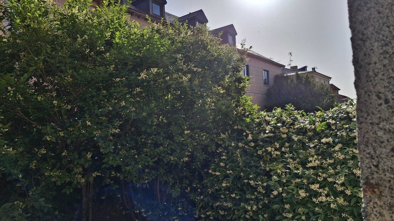 Photo of Outdoor in San Lorenzo de El Escorial
