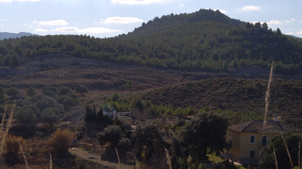Photo of Others in Cehegin