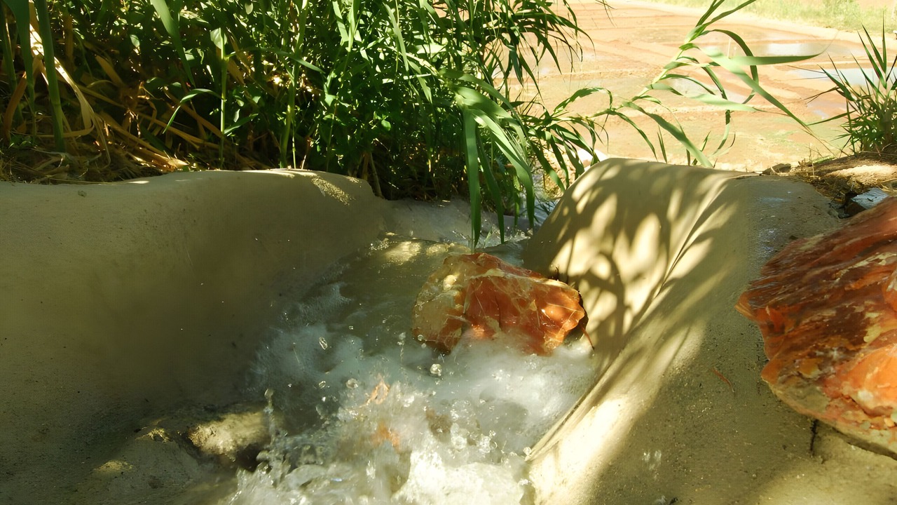 Photo of Outdoor in Cehegin